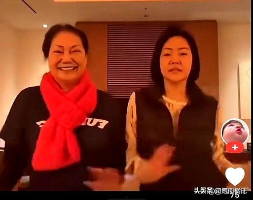 夜间梅视频在线观看,沉浸式体验梅视频在线盛宴 第3张 夜间梅视频在线观看,沉浸式体验梅视频在线盛宴 第3张