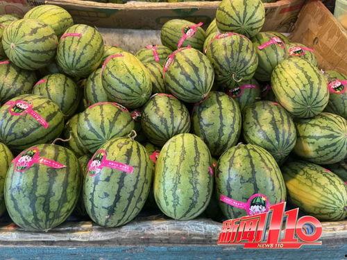 网红瓜不甜沾酱吃可以吗,沾酱吃更美味!探索新型食用方式 第2张 网红瓜不甜沾酱吃可以吗,沾酱吃更美味!探索新型食用方式 第2张