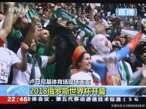 吃瓜群众的娱乐时代,娱乐时代下的全民娱乐盛宴