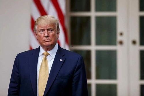 特朗普最新数据爆料,揭秘其政治生涯背后惊人内幕！